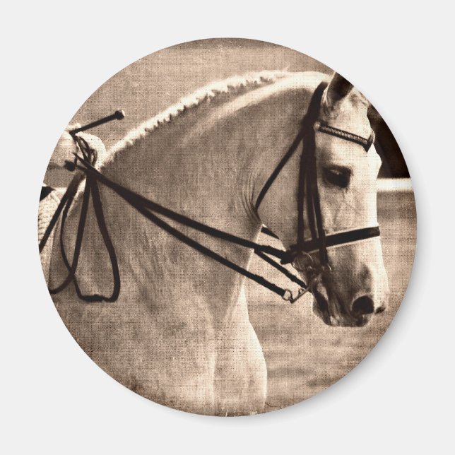 Dressage Grunge Magnet (Vorne)