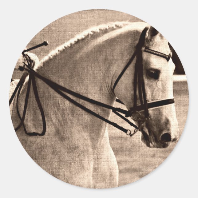 Dressage Grunge Runder Aufkleber (Vorderseite)