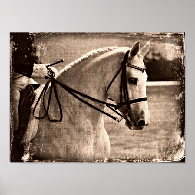 Dressage Horse Grunge Poster (Vorne)