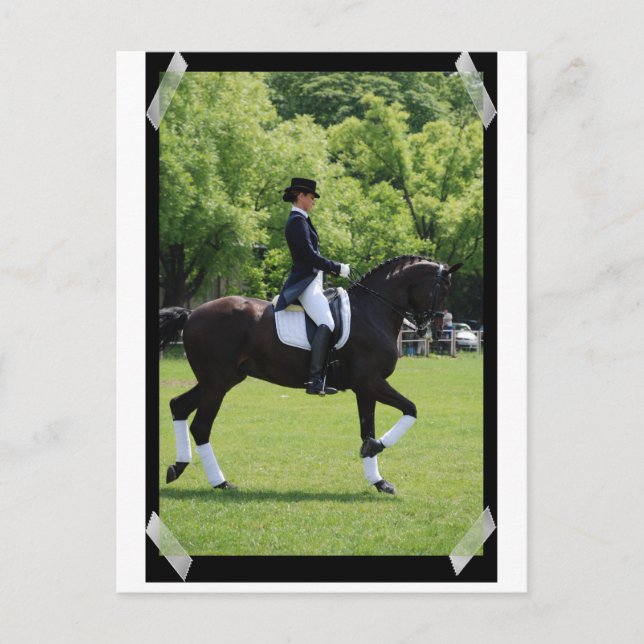 Dressage Horse Show Rider sur carte postale (Devant)