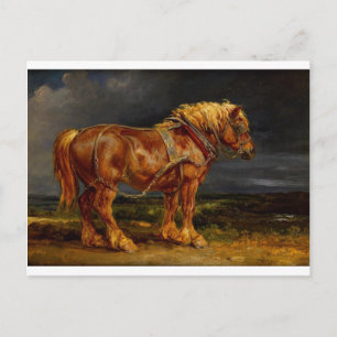 Dressage Pferd anzeigen Postkarte