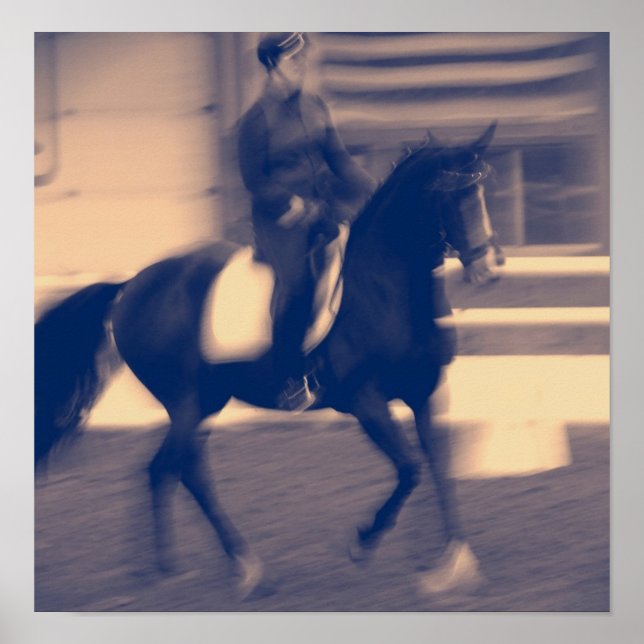 Dressage Poster (Vorne)