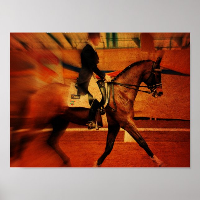 Dressage Poster (Vorne)