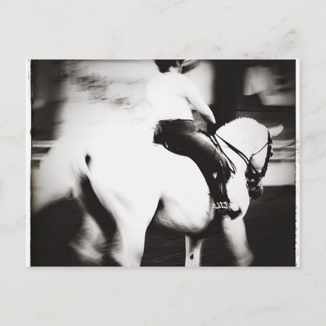 Dressage Postkarte (Vorderseite)