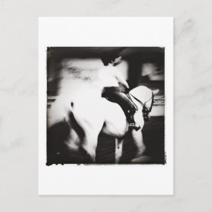 Dressage Postkarte