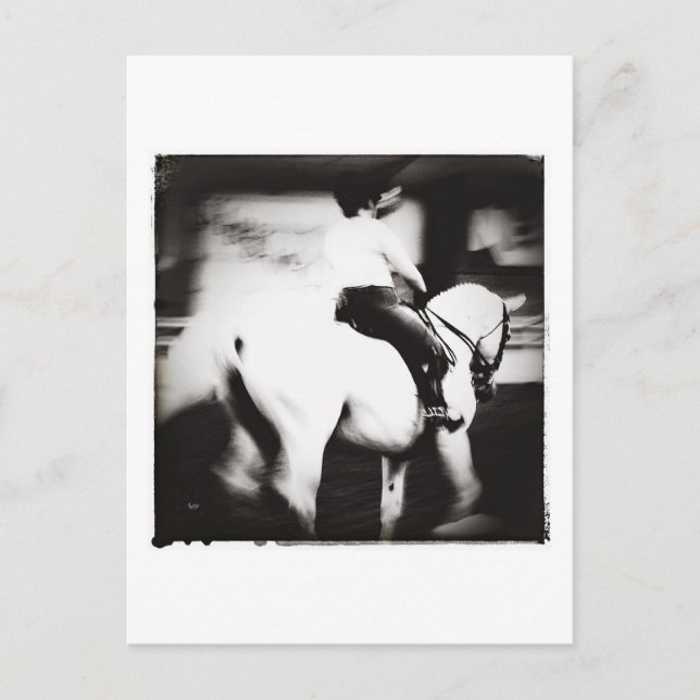 Dressage Postkarte (Vorderseite)