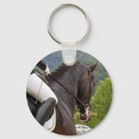Dressage