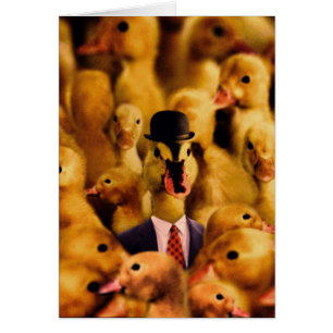 Dressed for Success Duck