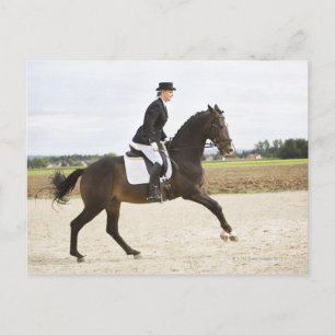Dressurreiterin, die 2 postkarte