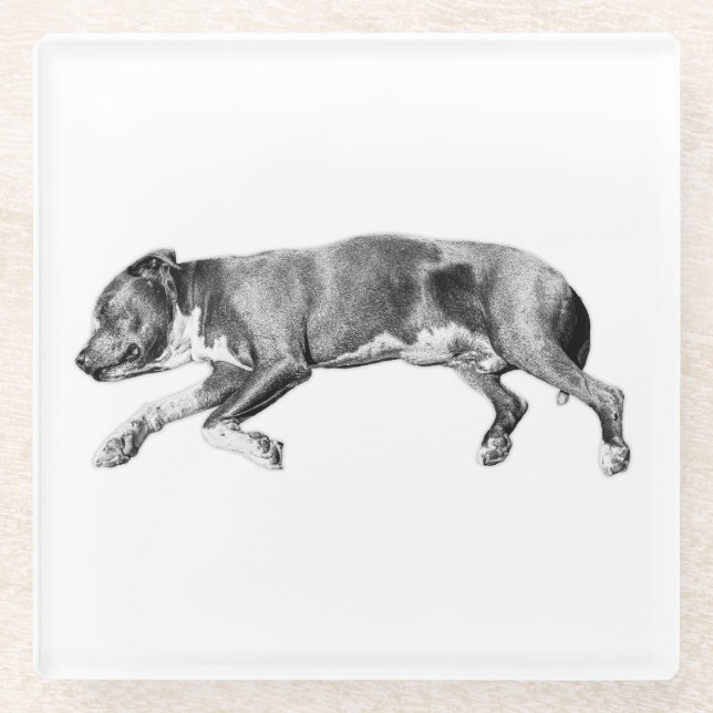 Drift in Calm - Detaillierte Dog-Nummer Glasuntersetzer (Vorderseite)