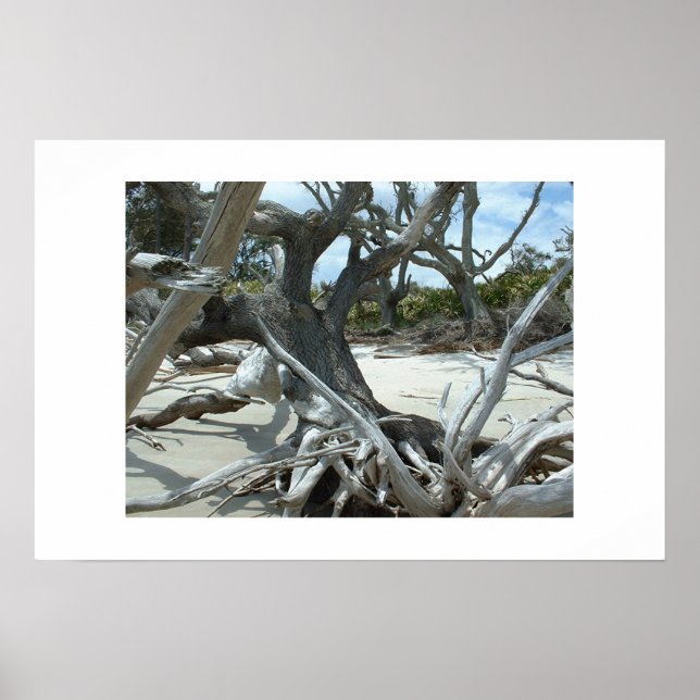 Drift Poster (Vorne)