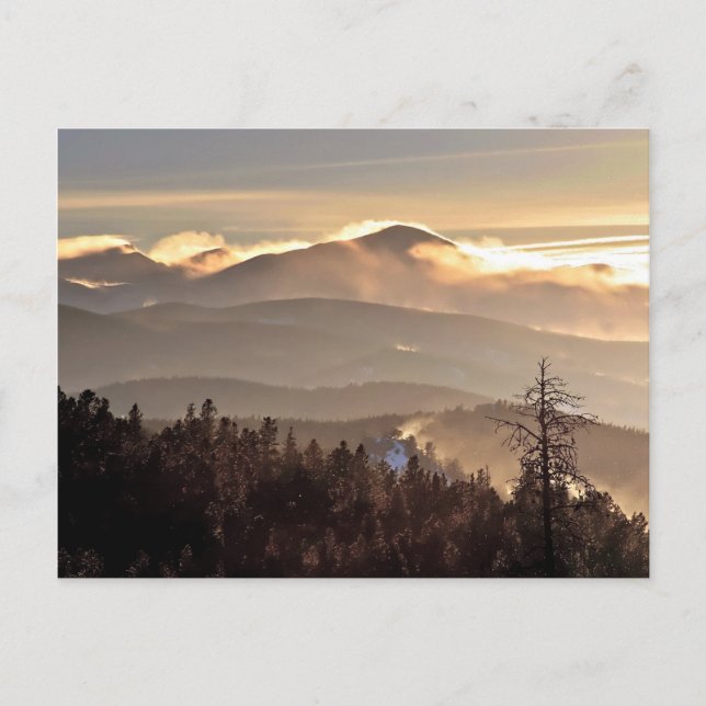 Drifting Snow - James Peak, Colorado Postkarte (Vorderseite)