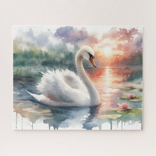 Drifting Swan