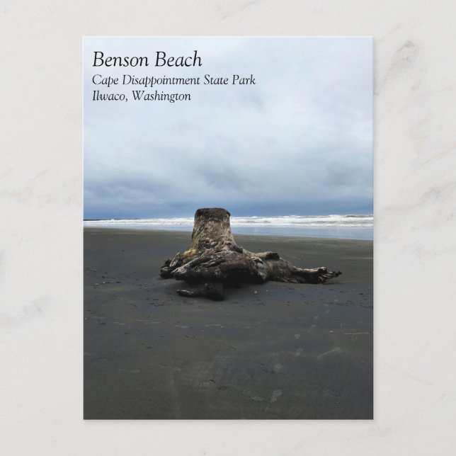 Driftwood am Strand von Benson, Cape Enttäuschung, Postkarte (Vorderseite)