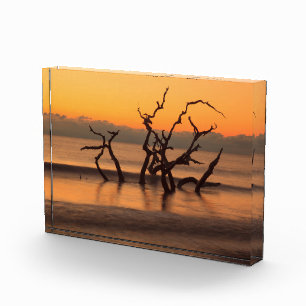 Driftwood Beach auf Sunrise Jekyll Island Georgia Fotoblock