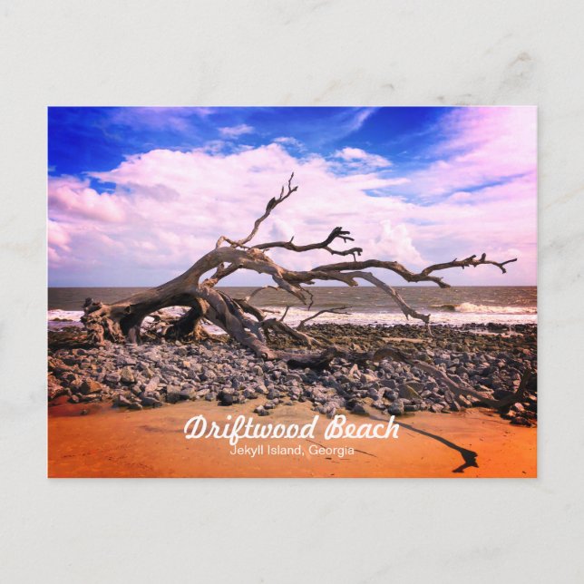 Driftwood Beach Jekyll Island Georgia Postkarte (Vorderseite)