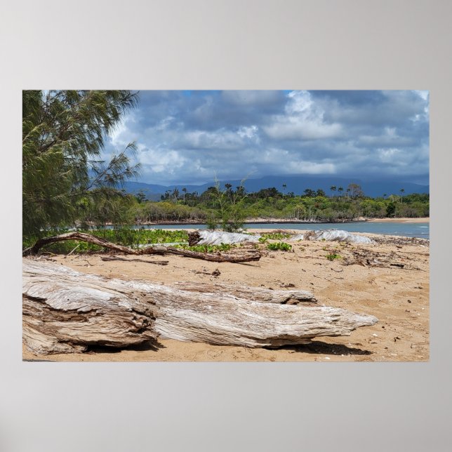 Driftwood Beach Szene Poster (Vorne)