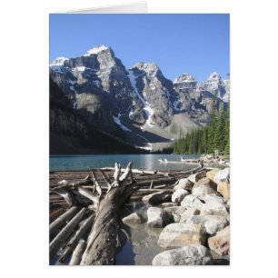 Driftwood, Blank Grey Card