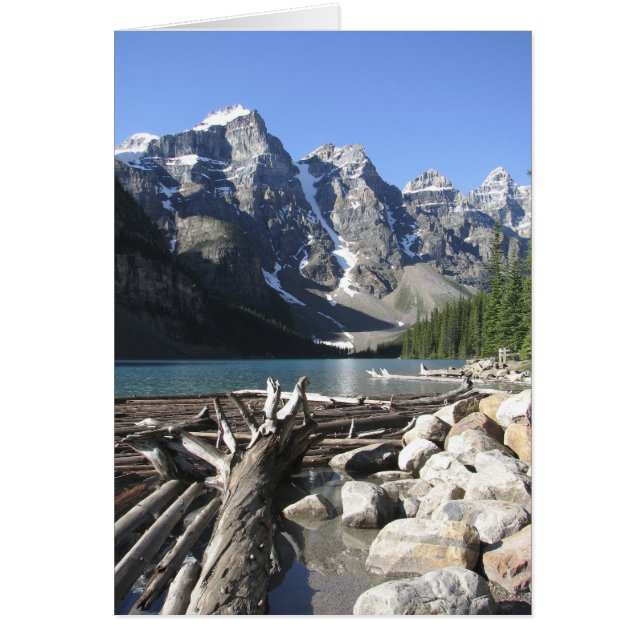 Driftwood, Blank Grey Card (Devant)