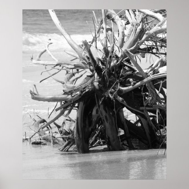Driftwood Burial Poster (Vorne)