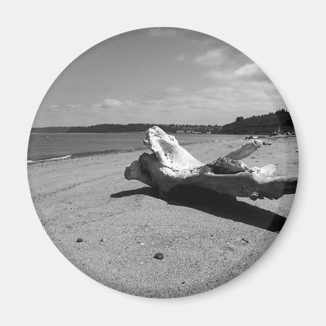 Driftwood Discovery Park Magnet (Vorne)