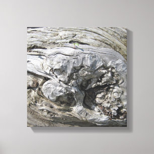 Driftwood Foto Stretched Canvas Print Leinwanddruck