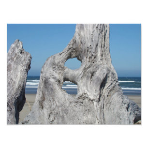 Driftwood Fotodrucke Ocean Beach Wellen Fotodruck