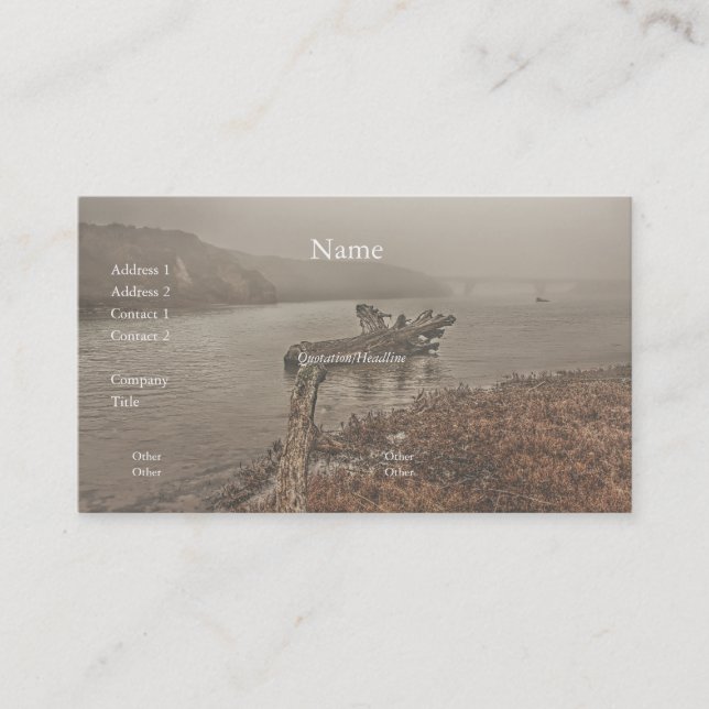 Driftwood in der Water Business Card Visitenkarte (Vorderseite)