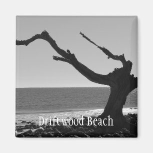 Driftwood-Strandmagnet Magnet