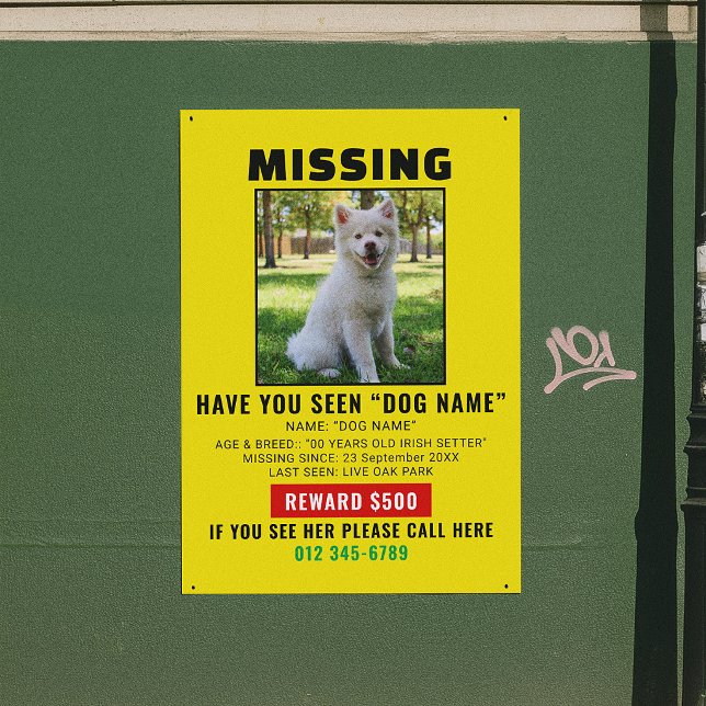 Dringende Vermisste-Hund-Haustier-Warnungsvorlage Poster (Von Creator hochgeladen)