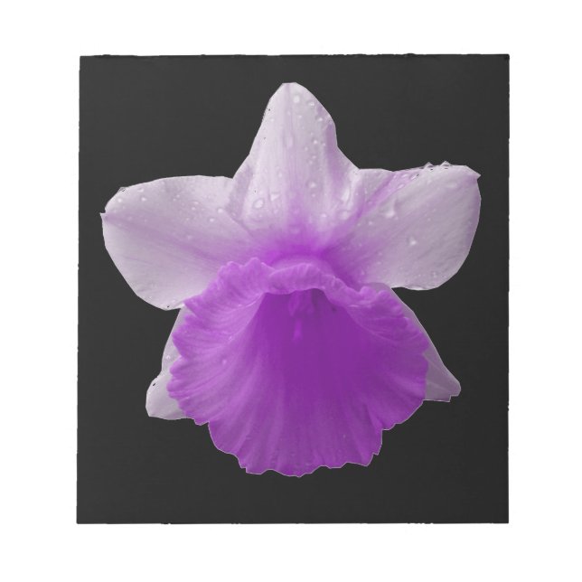 Dripping Daffodic Lila Notepad Notizblock (Vorderseite)