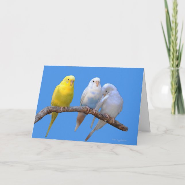 Drittes Rad Karte (Vorderseite)