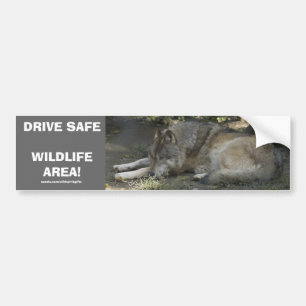 DRIVE SAFE WILDLIFE GRAY WOLF Autoaufkleber