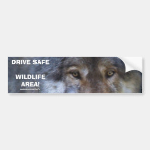 DRIVE SAFE WILDLIFE GRAY WOLF Autoaufkleber