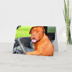 Drive to love peace joy dog dogue de bordeaux feiertagskarte
