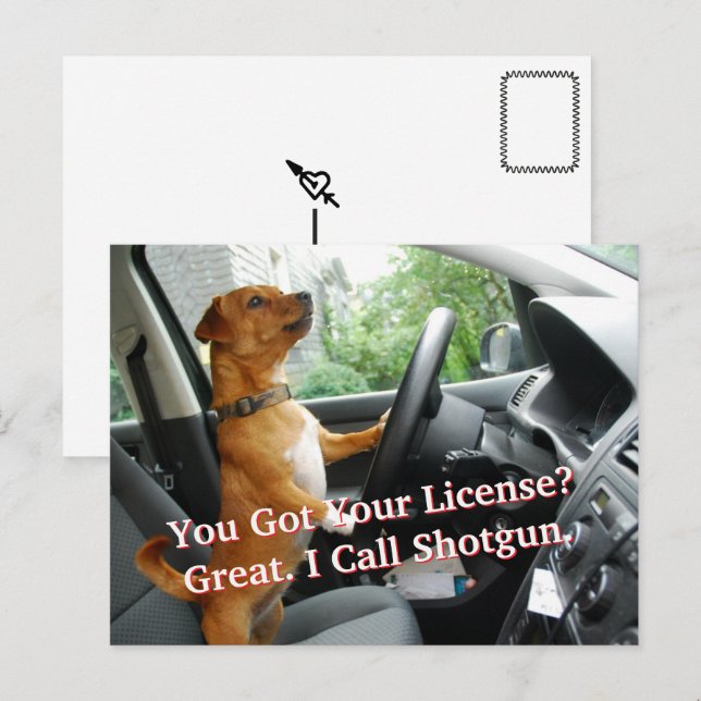 Driver’s License Congratulations Postcard Postkarte (Vorne/Hinten)