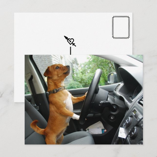 Driver’s License Congratulations Postcard Postkarte (Vorne/Hinten)