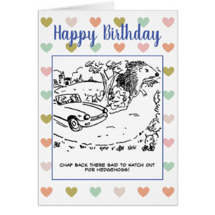 Driver Told To Watch Out For Hedgehogs Joke