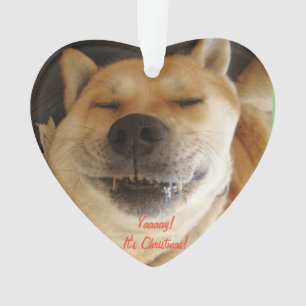 drôle akita chien avec le sourire mignon de noël