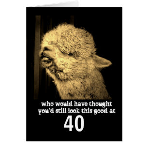 drôle animal humour alpaga photo personnalisée ann