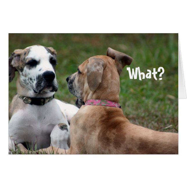 Drôle carte Awkward (Devant horizontal)