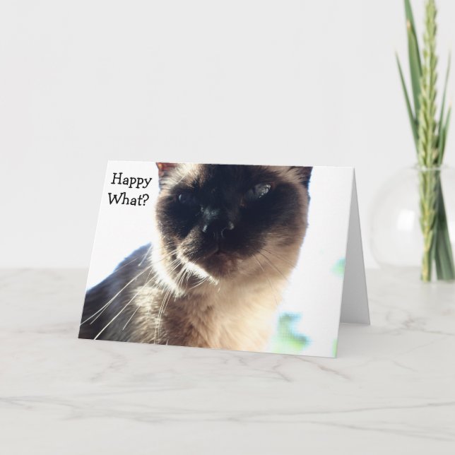 Drôle carte d'anniversaire avec chat : Happy What? (Devant)