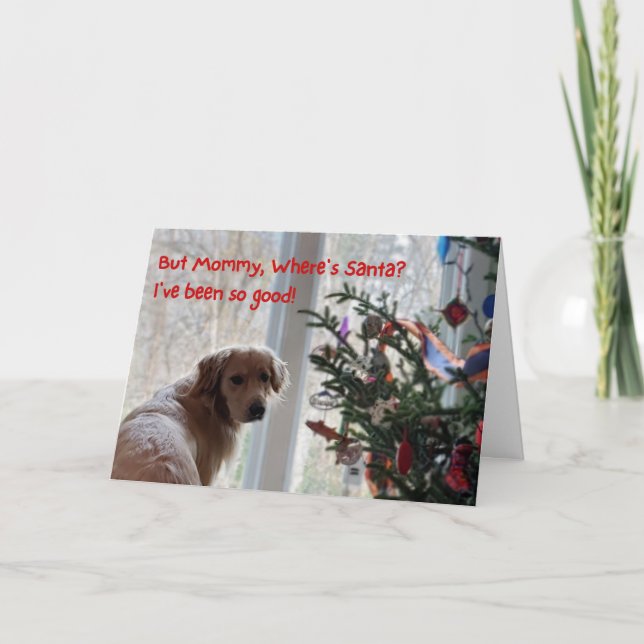 Drôle carte de Noël, chien attendant Père Noël (Devant)