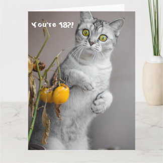 Drôle Chat Happy 18e Anniversaire Carte
