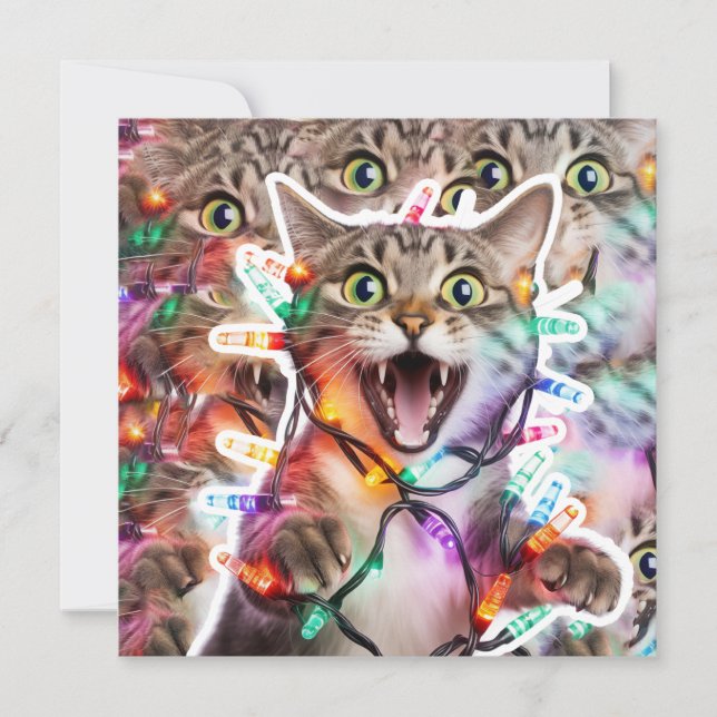 Drôle Chat Noël Lumières Carte de vacances (Devant)