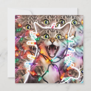 Drôle Chat Noël Lumières Carte de vacances