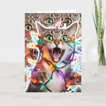 Drôle Chat Plié Carte de Noël