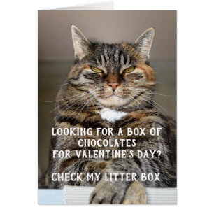 Drôle Chat Valentine's Day Mème Anti-Valentine
