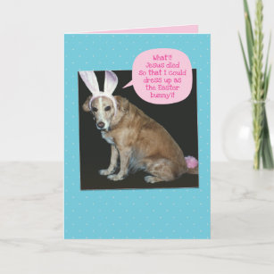 Cartes De Vœux Humour Bretagne Zazzle Ch Cartes De Vœux Humour Bretagne Zazzle Ch
