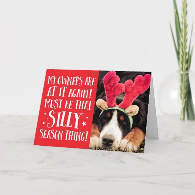 Drôle Citation de Noël Animaux de compagnie Carte  (Devant)